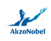 Picture of Akzo Nobel logo